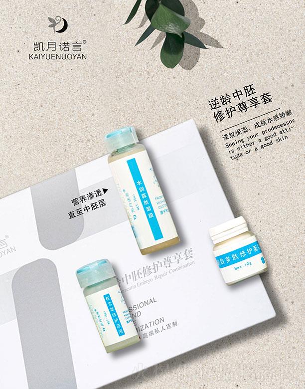 ���ՄP֮�����Q(m��o)���޹�˾���P���Z�����g�������o(h��)��