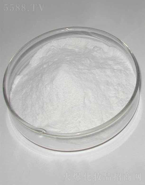 �ɶ������������޹�˾������-9/������/������