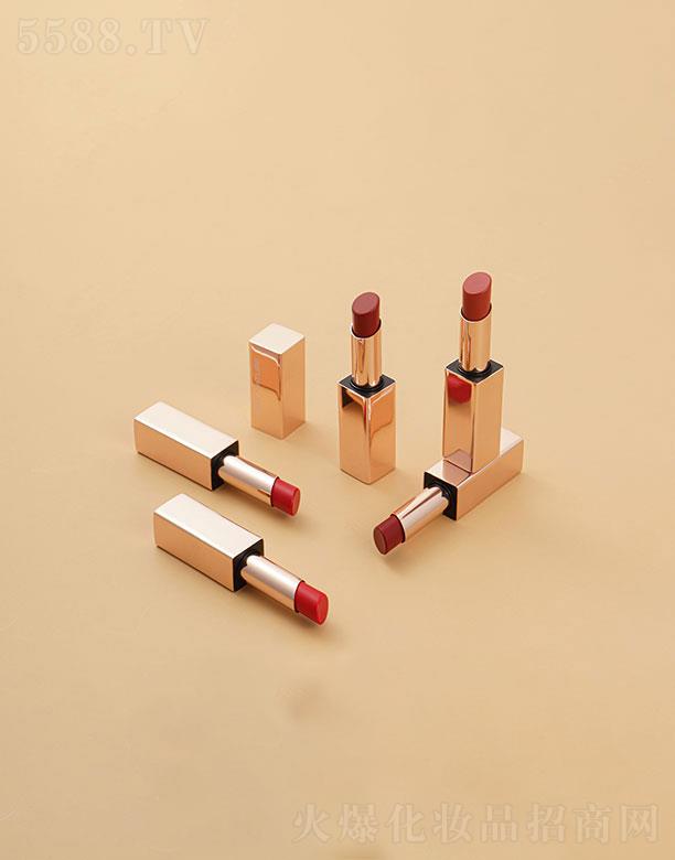 �������{�Ƽ����޹�˾����w�F�к�ʿڼt