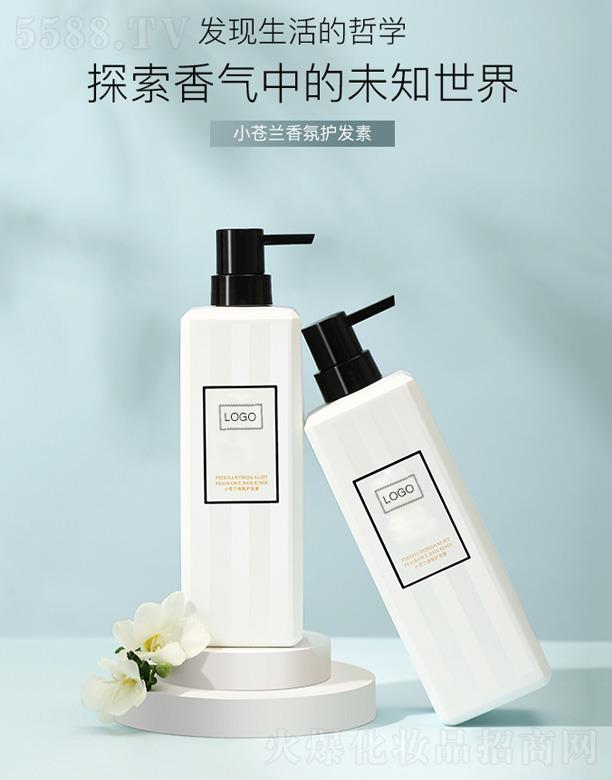 С�n�m����o�l(f��)��