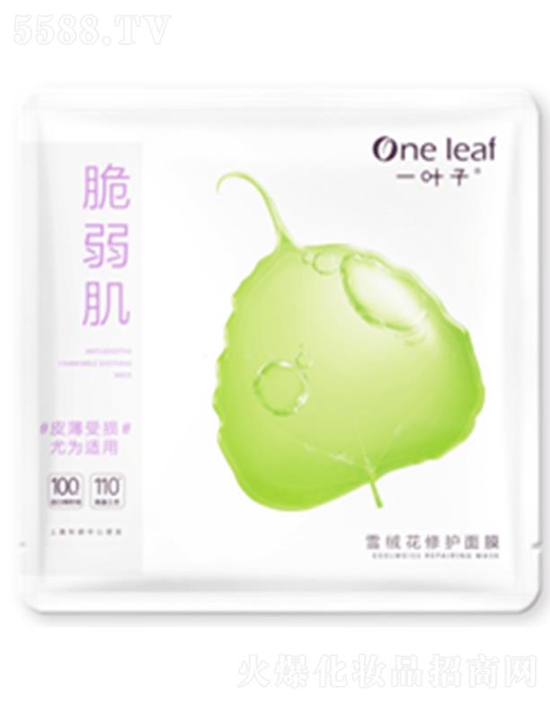 һ�~��ѩ�q�����o(h��)��Ĥ