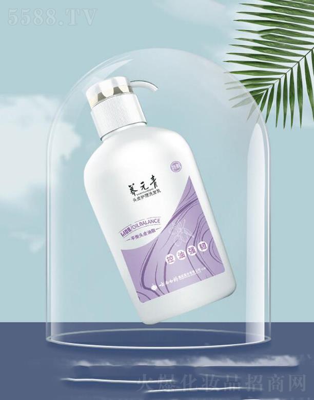 ���ϰ�ˎ�B(y��ng)Ԫ��ϴ�l(f��)ˮ ���͏��g�L�l(f��)  ��ͥ�bŮʿ����500ml