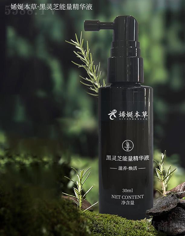 ���`֥�������AҺ