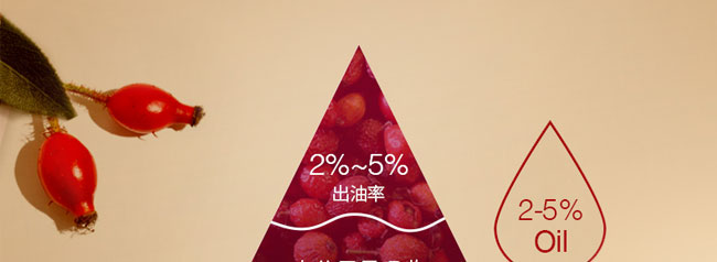 �nԊ(sh��)Ȫõ������