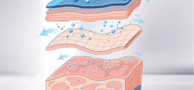 �������o��Ĥ